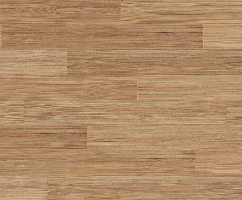 Retreat Blackbutt — Robust