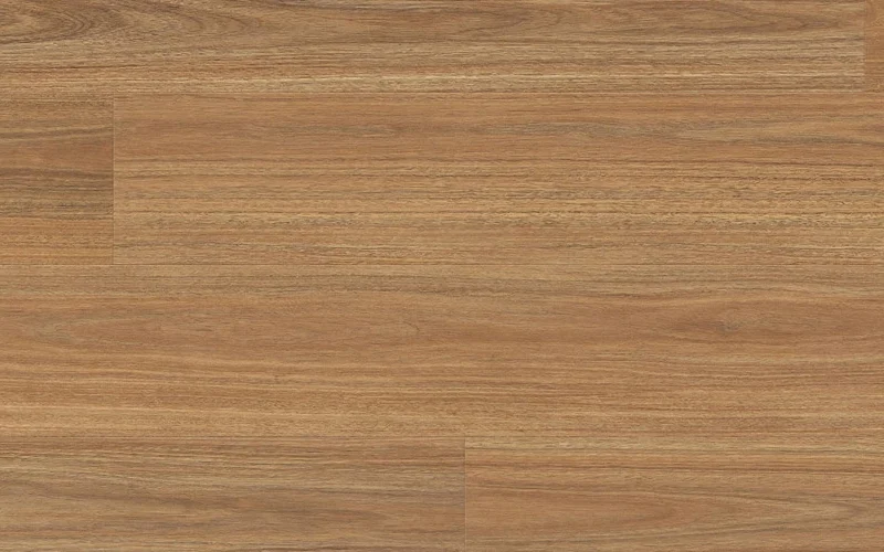 Mosswood Spotted Gum — Scenic