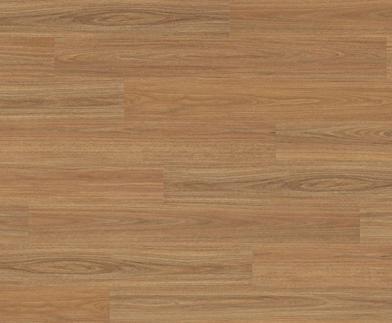Mosswood Spotted Gum — Scenic
