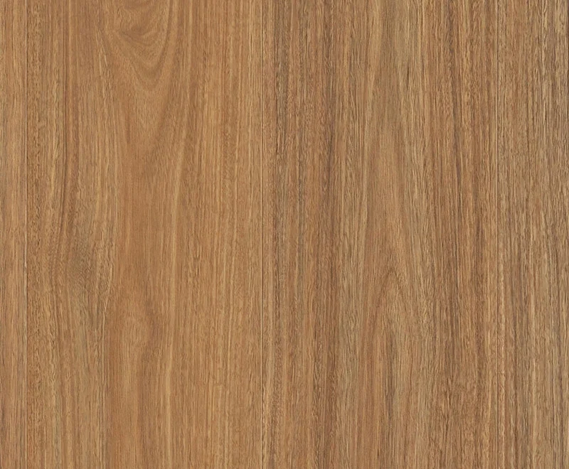 Mosswood Spotted Gum — Scenic