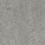 Serene Grey