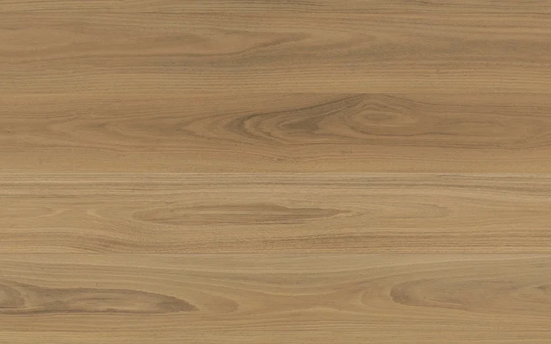 Atlantic Blackbutt — Shield Everlast
