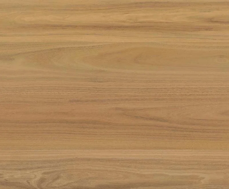 Atlantic Blackbutt — Shield Everlast