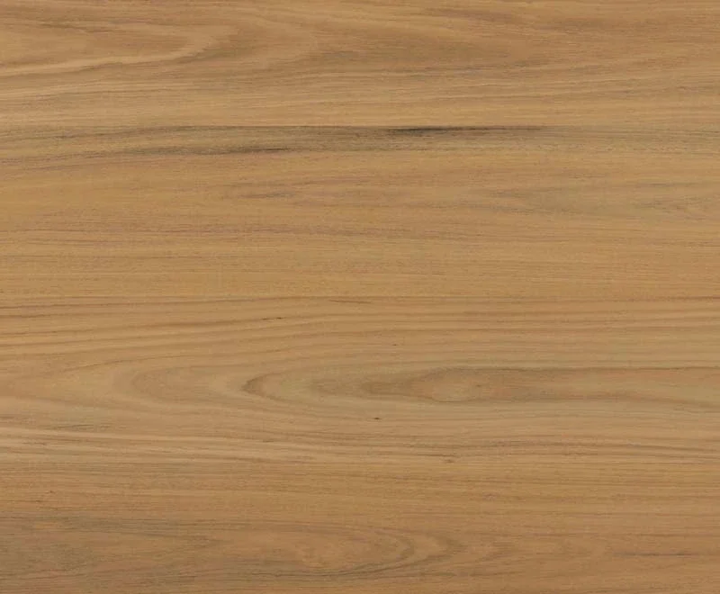 Atlantic Blackbutt — Shield Everlast