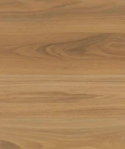 Atlantic Blackbutt — Shield Everlast