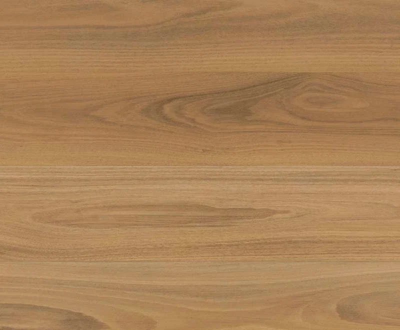 Atlantic Blackbutt — Shield Everlast