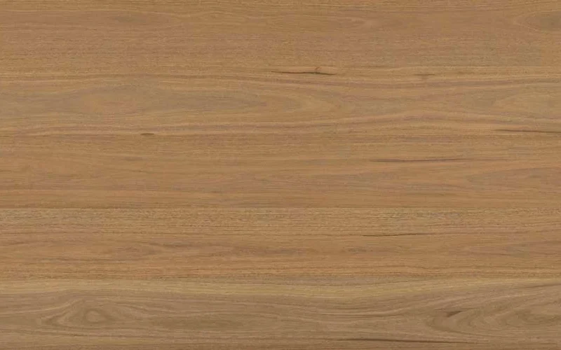 Atlantic Spotted Gum — Shield Everlast