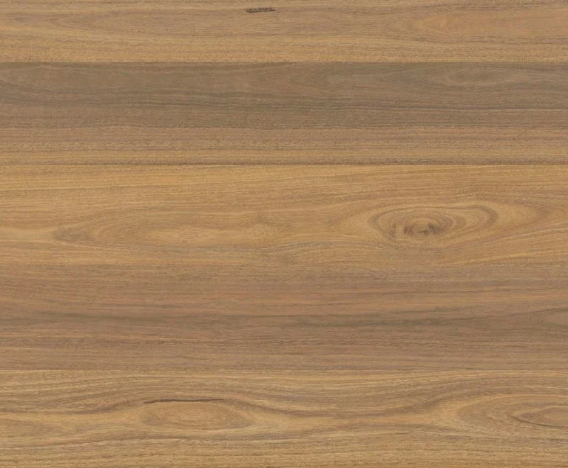 Atlantic Spotted Gum — Shield Everlast
