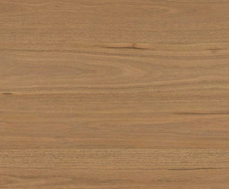 Atlantic Spotted Gum — Shield Everlast