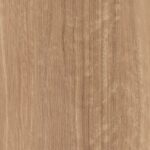 Sierra Spotted Gum