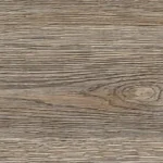 Silver Gum