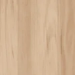 Southern Blackbutt