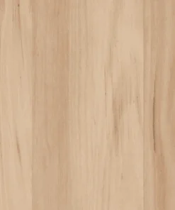 Southern Blackbutt
