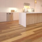 Southern Spotted Gum