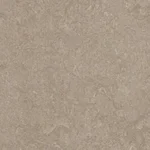 Sparrow