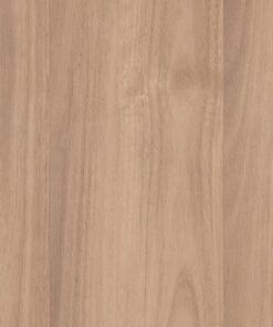 Spice Spotted Gum