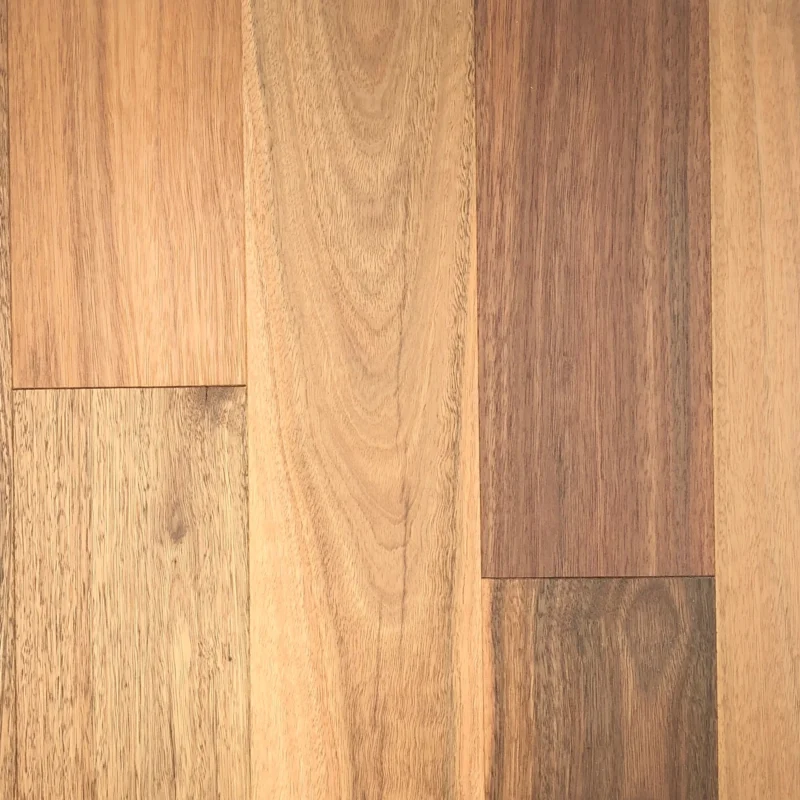 Spotted Gum – UV Hardwax Oil — Burleigh Floors