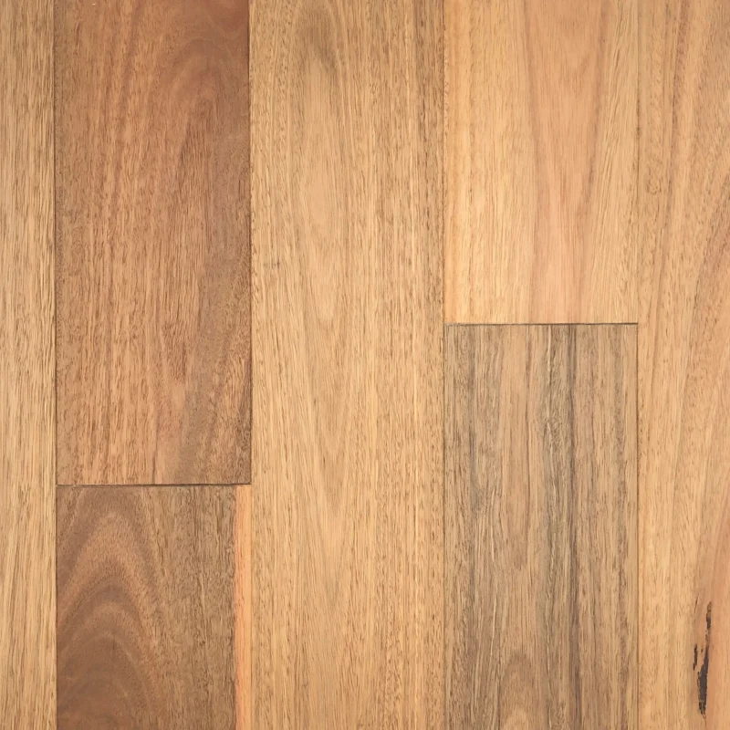 Spotted Gum – UV Lacquer — Burleigh Floors