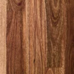 Spotted Gum