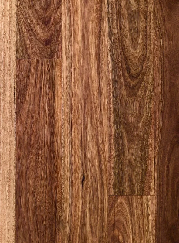 Spotted Gum — Thermally Enhanced Hardwood