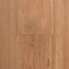 Spotted Gum