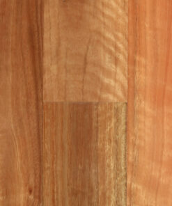 Golden Field Spotted Gum