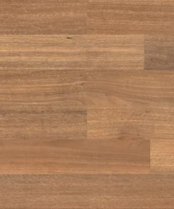 Spotted Gum — HM WALK
