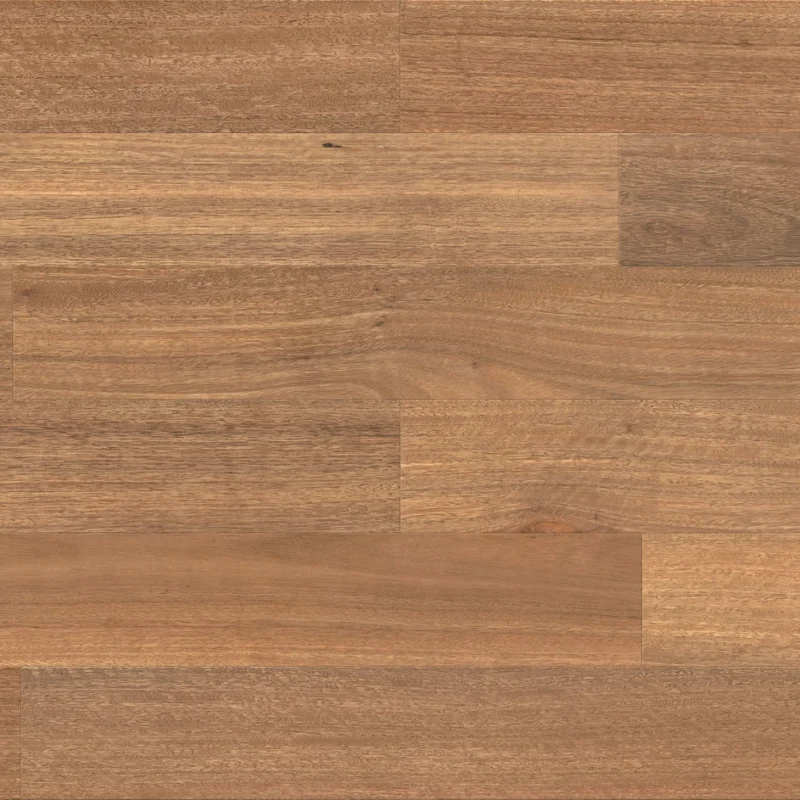Spotted Gum — HM WALK