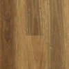 Spotted Gum