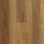 Spotted Gum