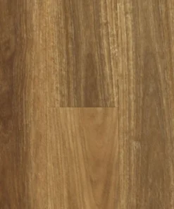 Spotted Gum
