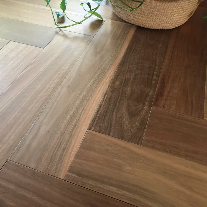 Spotted Gum — Australian Native Optimise Herringbone