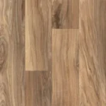 Spotted Gum