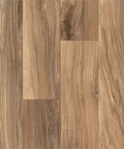 Spotted Gum