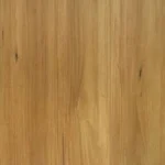 Spotted Gum