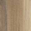 Spotted Gum