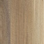 Spotted Gum