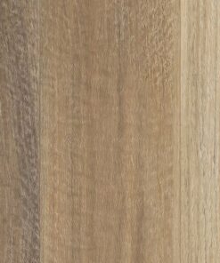 Spotted Gum
