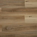 Spotted Gum