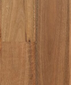 Spotted Gum