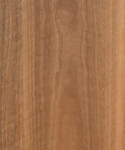 Spotted Gum