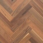 Spotted Gum