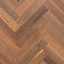 Spotted Gum