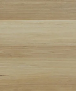 Coastal Blackbutt — Superior