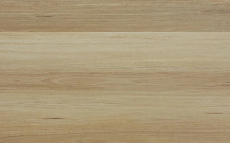 Coastal Blackbutt — Superior
