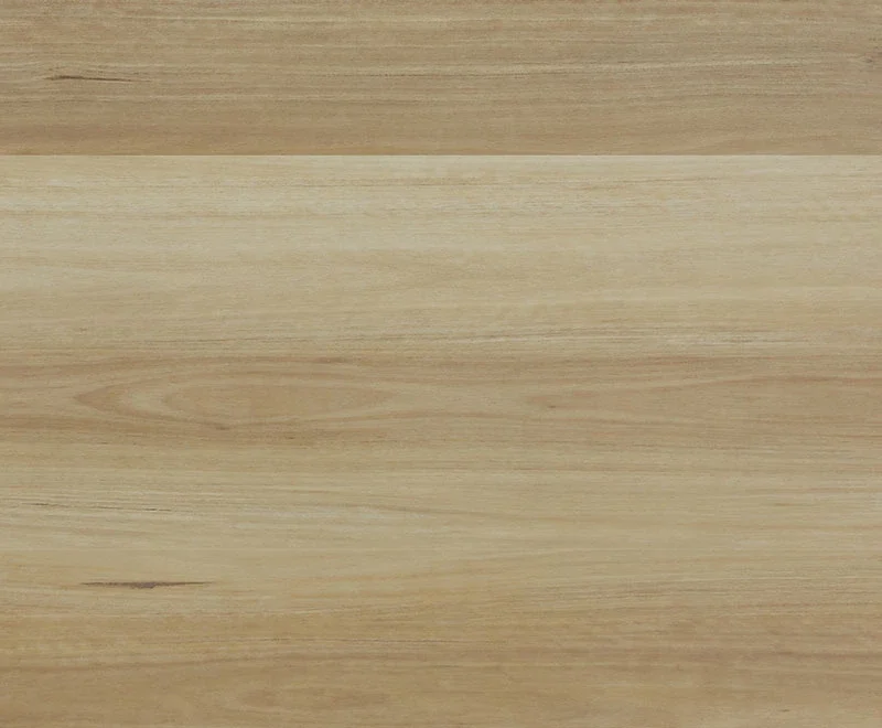 Coastal Blackbutt — Superior
