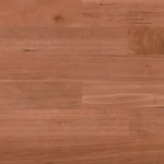 Sydney Blue Gum