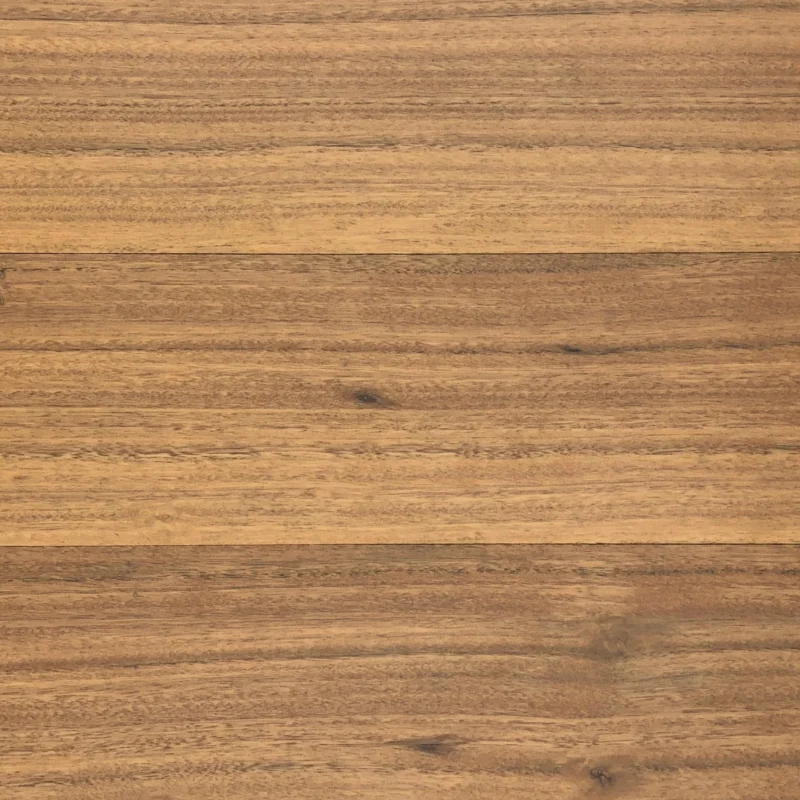 Tallowwood — HM WALK