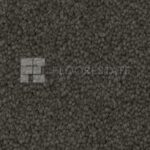 Taupe 740