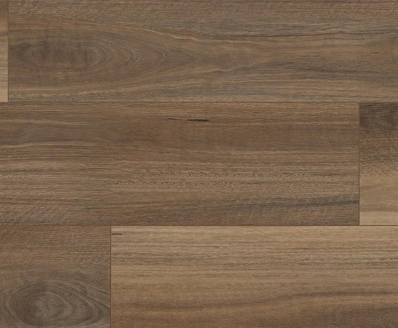 Mercury Spotted Gum — Touch